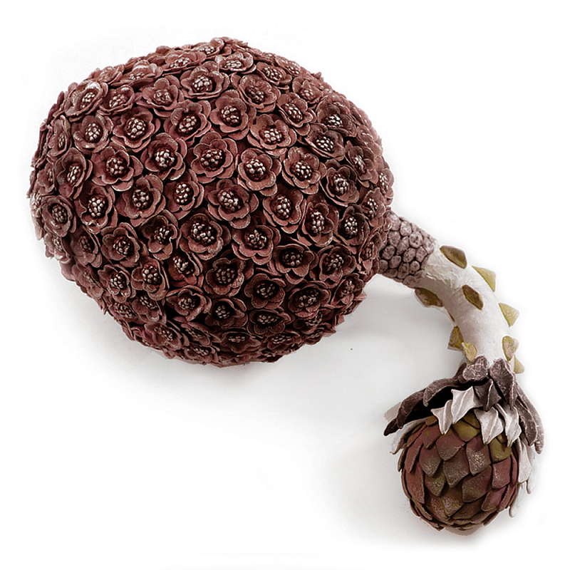 Коричневый фрукт Exotic Fruit Artichoke Brown 42 Коричневый Коричневый фрукт Exotic Fruit Artichoke Brown 42 Коричневый в Москве | Loft Concept