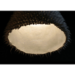 Светильник Acus варинант исполнения - 3 | Loft Concept в Москве