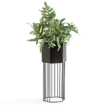 Кашпо Elevated Planters Сlive 59 черное  варинант исполнения - 2 | Loft Concept в Москве