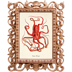 Постер Red Squid Poster