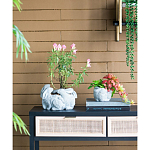 Кашпо A collection of baby rabbits варинант исполнения - 5 | Loft Concept в Москве