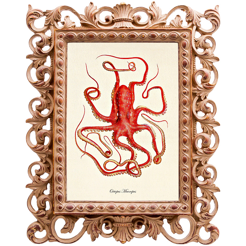 Red Squid Poster     | Loft Concept 