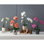 Декоративный искусственное растение Pink orchid варинант исполнения - 11 | Loft Concept в Москве