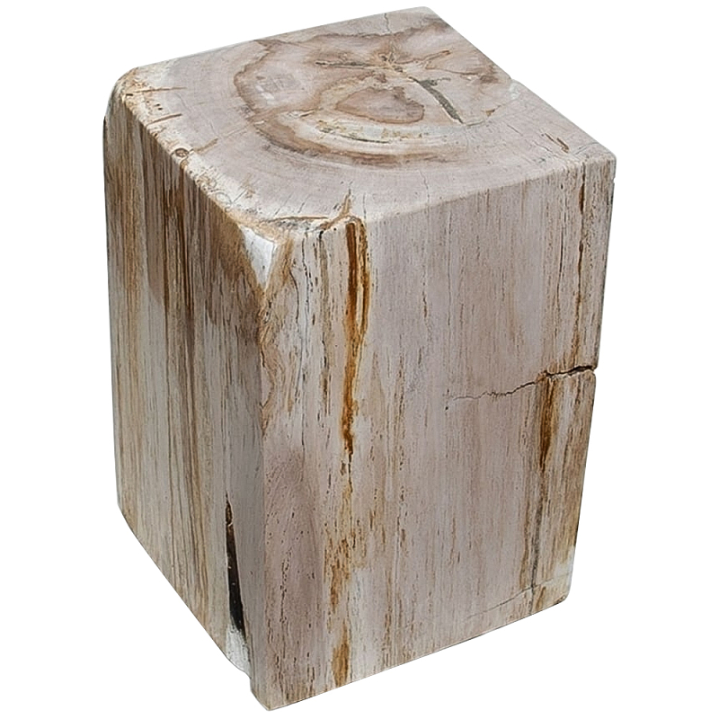    Petrified Wood Square    | Loft Concept 