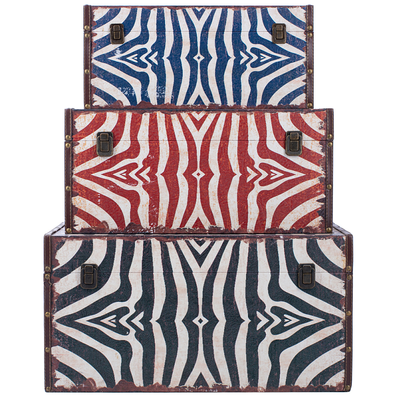   3-  Colored Zebra    | Loft Concept 