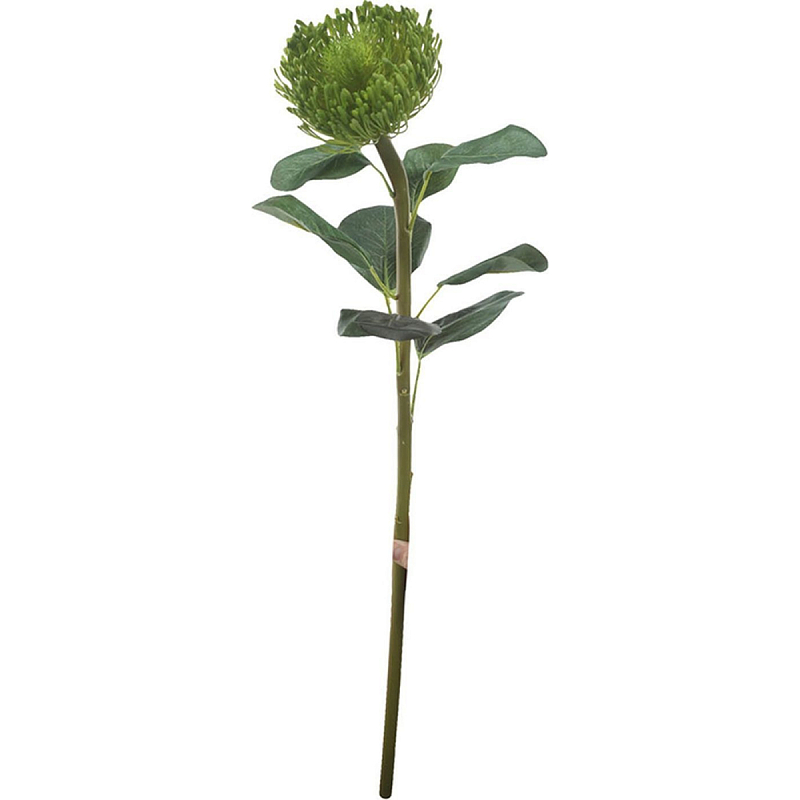   A peony-shaped flower    | Loft Concept 