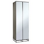 Двухдверный шкаф с зеркальными дверцами Strict Lines варинант исполнения - 1 | Loft Concept в Москве