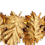 Люстра круглая с декором в виде листьев дуба золотого цвета Autumn Leaves варинант исполнения - 1 | Loft Concept в Москве