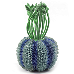 Статуэтка экзотический фрукт Exotic Tropical Fruit Green and Blue 64 варинант исполнения - 1 | Loft Concept в Москве