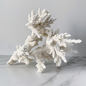 Статуэтка Branch L Coral