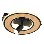 Потолочный светильник круглый GAVIN WOOD варинант исполнения - 1 | Loft Concept в Москве