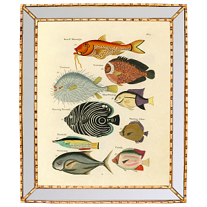 Постер в зеркальной раме Fish Guide