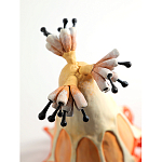 Статуэтка тропический фрукт Pandora Tropical Fruit Orange варинант исполнения - 3 | Loft Concept в Москве