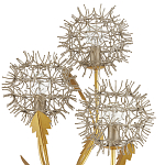 Торшер в виде цветка одуванчика Hanging Dandelion варинант исполнения - 1 | Loft Concept в Москве
