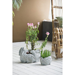 Кашпо A collection of baby rabbits варинант исполнения - 4 | Loft Concept в Москве