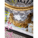 Чаша из прозрачного стекла с бронзовой подставкой и ручками Eden Garden варинант исполнения - 4 | Loft Concept в Москве