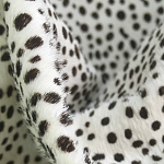 Мебельная ткань Искусственный мех  белый леопард 90 см T5-3 варинант исполнения - 1 | Loft Concept в Москве