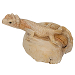 Статуэтка из дерева ящерица Animals of the World варинант исполнения - 2 | Loft Concept в Москве