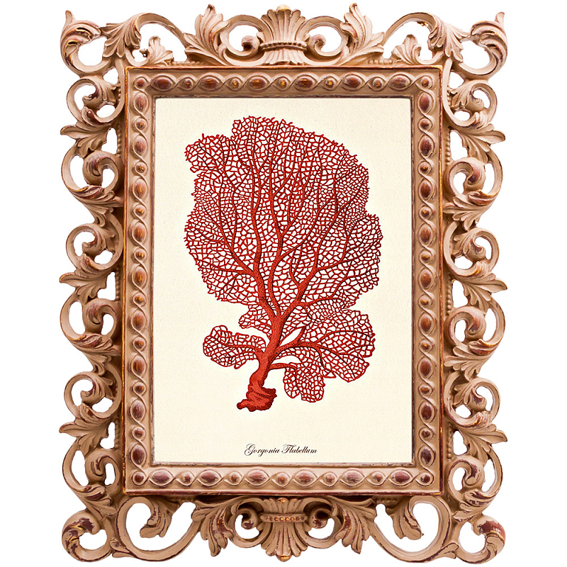  Red Coral Poster 5     | Loft Concept 