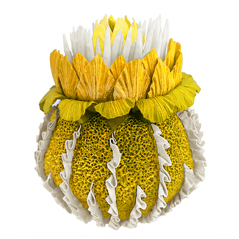 Желтый Экзотический фрукт Yellow Pandora Exotic Fruit 44 Желтый Желтый Экзотический фрукт Yellow Pandora Exotic Fruit 44 Желтый в Москве | Loft Concept