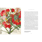 Прекрасно иллюстрированная книга более 100 ботанических произведений Plant Hunters Atlas варинант исполнения - 5 | Loft Concept в Москве