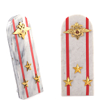 Сувенир Погон МВД из натурального камня мрамор Souvenir Epaulets варинант исполнения - 7 | Loft Concept в Москве