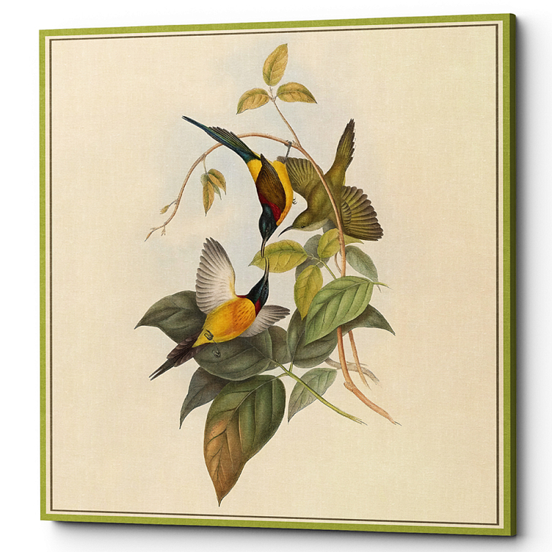         Blooming Birds Poster     | Loft Concept 