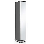 Шкаф-пенал с зеркальной дверцей и фасадом цвета графит Strict Lines варинант исполнения - 2 | Loft Concept в Москве