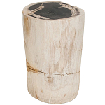 Стул из окаменелого дерева Petrified Wood варинант исполнения - 1 | Loft Concept в Москве