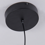 Люстра подвесная светодиодная черный металл Ring Horizontal варинант исполнения - 6 | Loft Concept в Москве