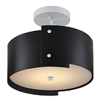 Потолочный светильник круглый светодиодный Semicircular White Panels чёрный варинант исполнения - 2 | Loft Concept в Москве