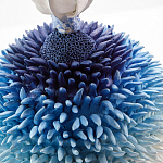 Статуэтка Синий тропический фрукт Tropical Fruit Pandora 4 варинант исполнения - 1 | Loft Concept в Москве