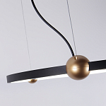 Люстра подвесная светодиодная черный металл Ring Horizontal варинант исполнения - 3 | Loft Concept в Москве