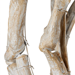 Люстра круглая в виде веток деревьев Natural Driftwood варинант исполнения - 3 | Loft Concept в Москве