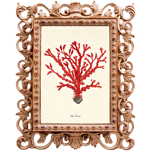 Постер Red Coral Poster 2