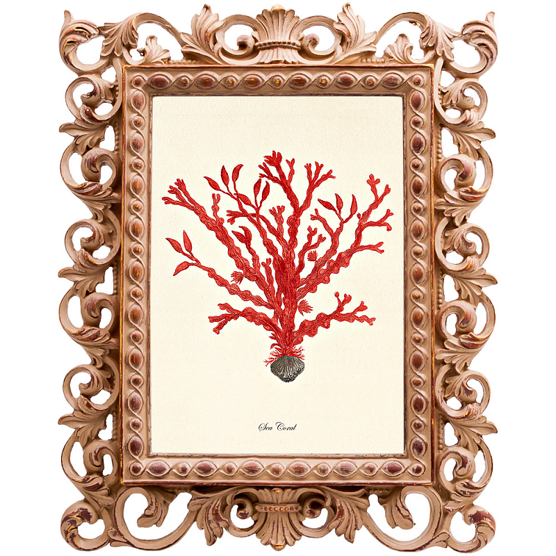  Red Coral Poster 2     | Loft Concept 