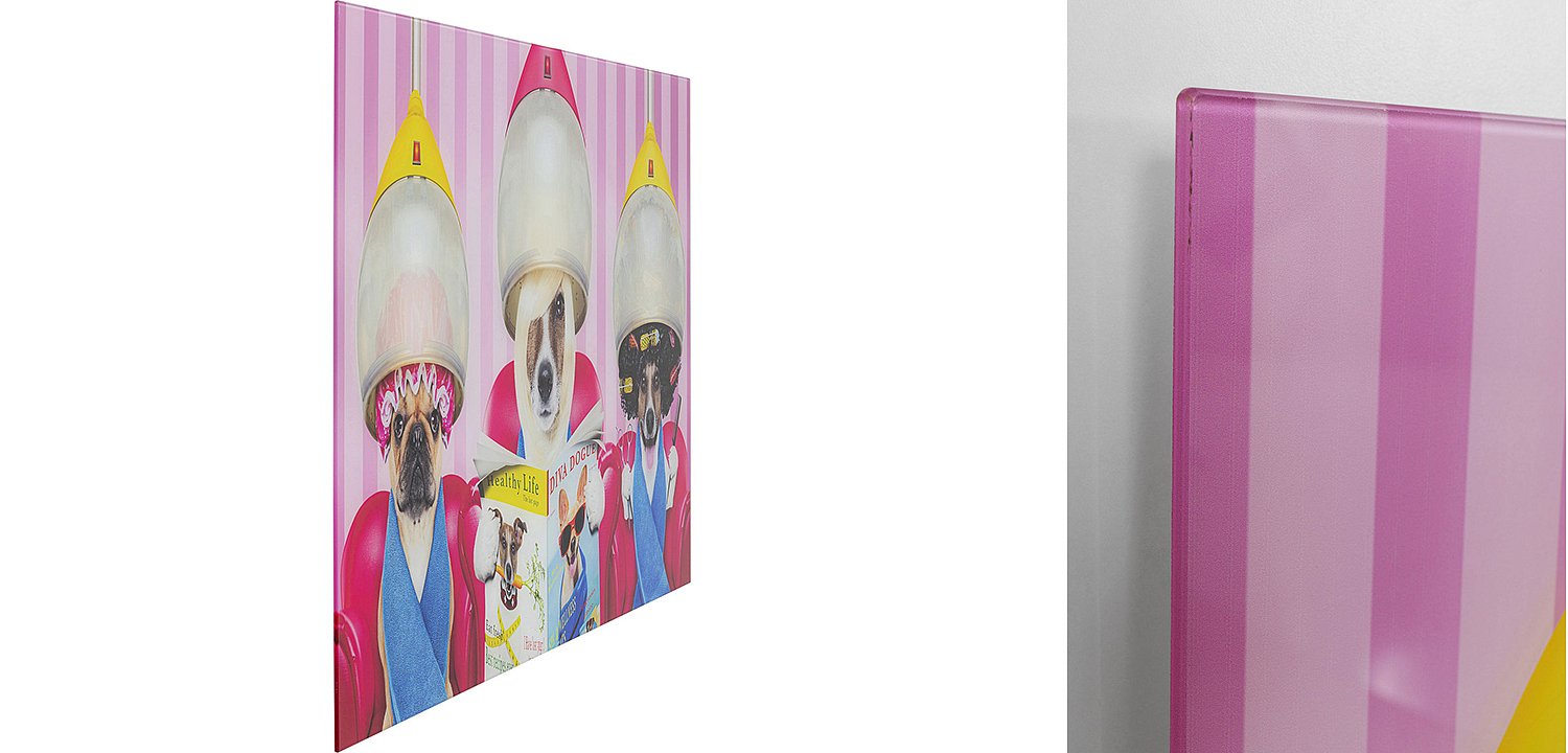 Картина Dogs in a beauty salon  - Loft-Concept в Москве