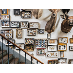 Книга Extraordinary Collections: French Interiors варинант исполнения - 11 | Loft Concept в Москве