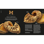 Книга Treasures of India From Antiquity to Modernity варинант исполнения - 3 | Loft Concept в Москве