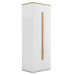 Шкаф платяной с белым глянцевым фасадом Grace of Furniture варинант исполнения - 1 | Loft Concept в Москве