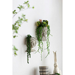 Кашпо Curly baby варинант исполнения - 5 | Loft Concept в Москве