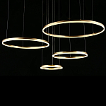 Люстра подвесная светодиодная Jewelry Ring варинант исполнения - 4 | Loft Concept в Москве