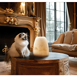 Настольная лампа в форме трапеции из натурального камня Soft Glow of Stone варинант исполнения - 5 | Loft Concept в Москве