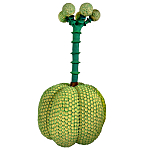 Статуэтка Зеленый тропический фрукт Pandora Tropical Light Green 69 варинант исполнения - 3 | Loft Concept в Москве