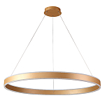 Люстра подвесная светодионая кольцевая золотого цвета Ring Horizontal варинант исполнения - 1 | Loft Concept в Москве