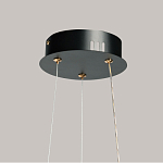 Люстра с прозрачным волнистым плафоном в форме цветка Ethereal Bloom варинант исполнения - 11 | Loft Concept в Москве