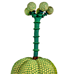 Статуэтка Зеленый тропический фрукт Pandora Tropical Light Green 69 варинант исполнения - 1 | Loft Concept в Москве