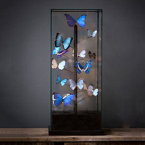 Статуэтка 14 Blue Butterflies Morphos Glass Box