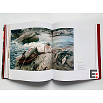 Книга Коллекция картин Сарджента Sargent: The Masterworks варинант исполнения - 6 | Loft Concept в Москве