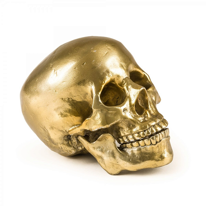  Seletti Wunderkrammer Human Skull    | Loft Concept 